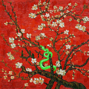 五星视频38星币观看
